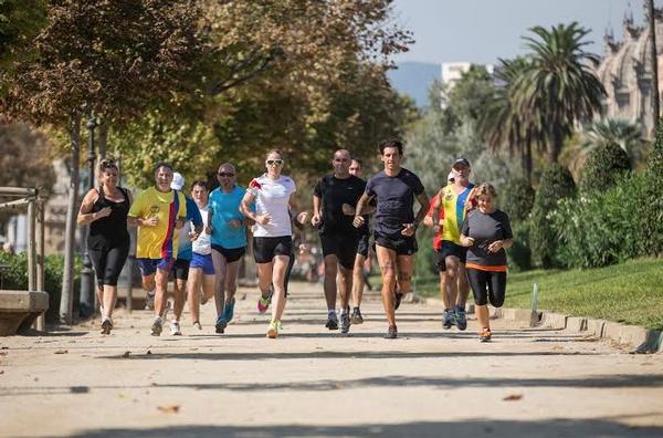 Wings for Life World Run action